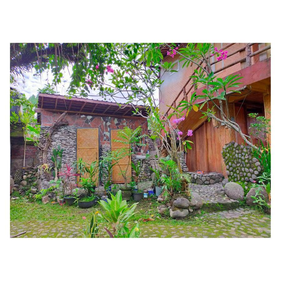 Bali Bungalow Medewisurf-homestay Airsatang Bagian luar foto