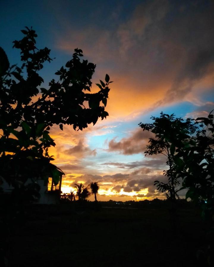 Bali Bungalow Medewisurf-homestay Airsatang Bagian luar foto