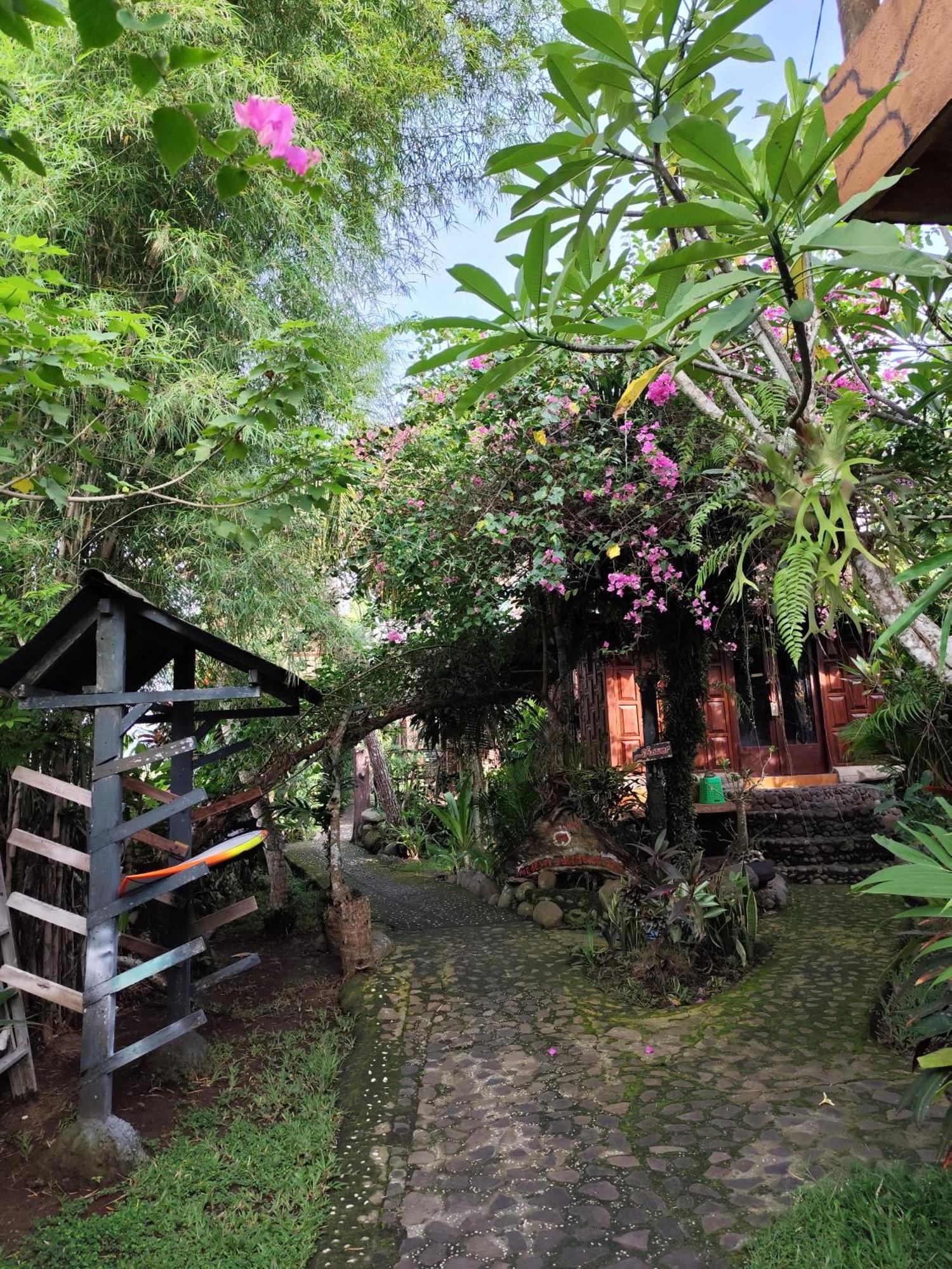 Bali Bungalow Medewisurf-homestay Airsatang Bagian luar foto